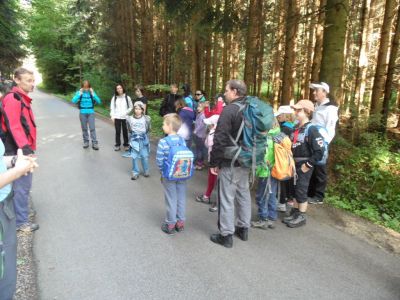 Kliknite za ogled večje slike