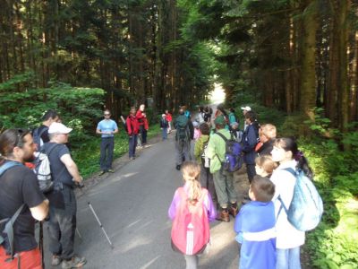 Kliknite za ogled večje slike