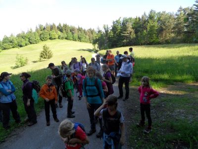 Kliknite za ogled večje slike