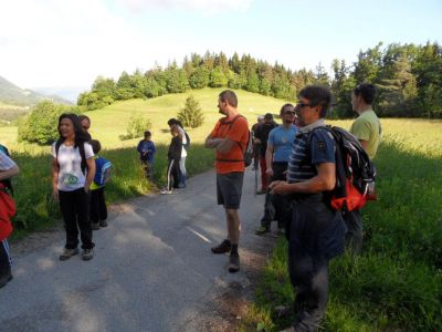 Kliknite za ogled večje slike