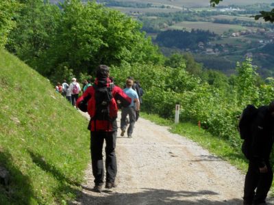 Kliknite za ogled večje slike