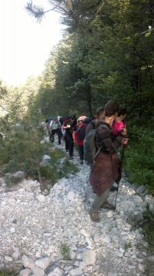 Kliknite za ogled večje slike