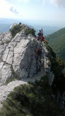 Kliknite za ogled večje slike
