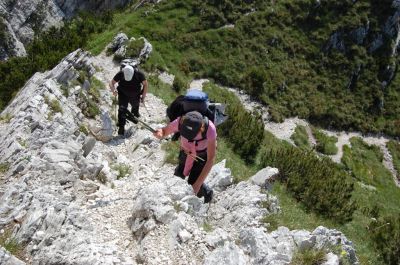 Kliknite za ogled večje slike