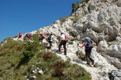 Kliknite za ogled večje slike