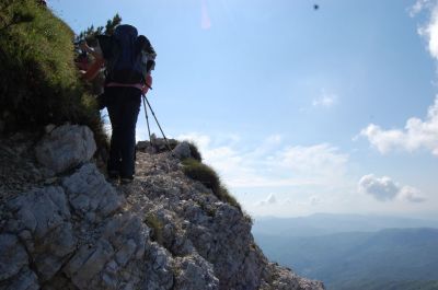 Kliknite za ogled večje slike