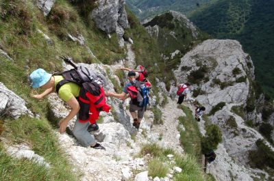 Kliknite za ogled večje slike