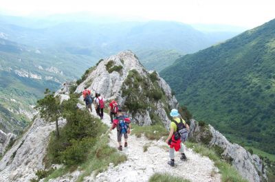 Kliknite za ogled večje slike