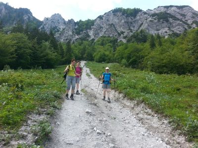 Kliknite za ogled večje slike