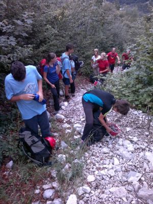Kliknite za ogled večje slike