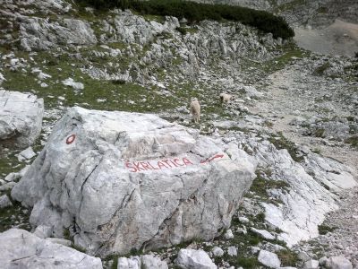 Kliknite za ogled večje slike