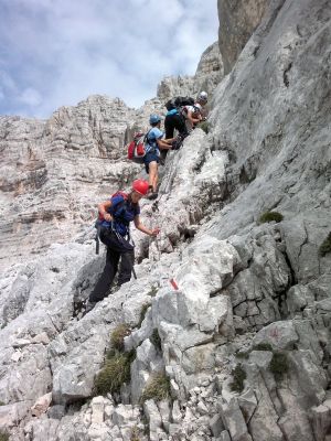 Kliknite za ogled večje slike