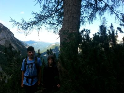 Kliknite za ogled večje slike