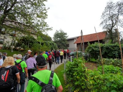 Kliknite za ogled večje slike