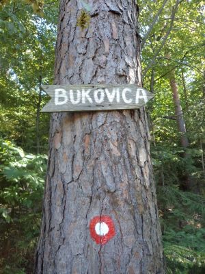 Kliknite za ogled večje slike
