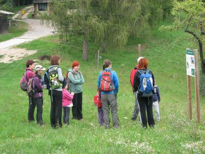Kliknite za ogled večje slike