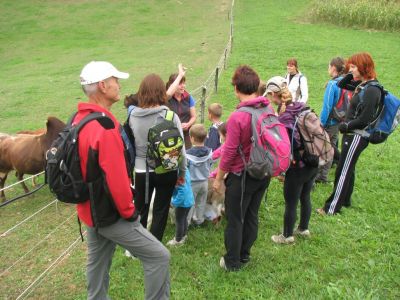 Kliknite za ogled večje slike