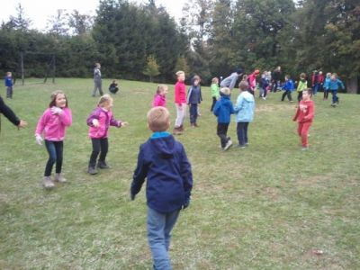 Kliknite za ogled večje slike