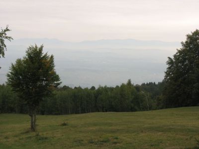 Kliknite za ogled večje slike