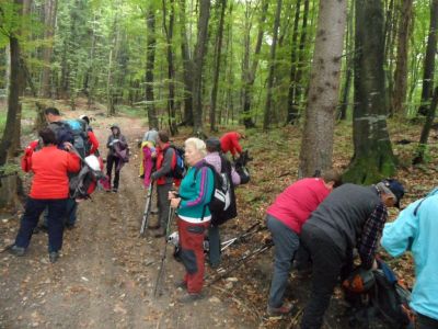 Kliknite za ogled večje slike