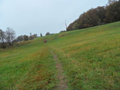 Kliknite za ogled večje slike