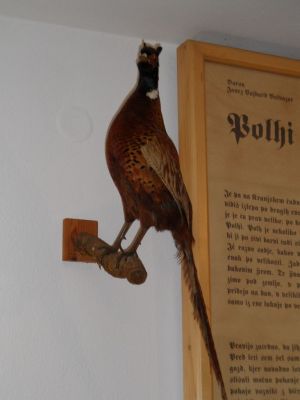 Kliknite za ogled večje slike