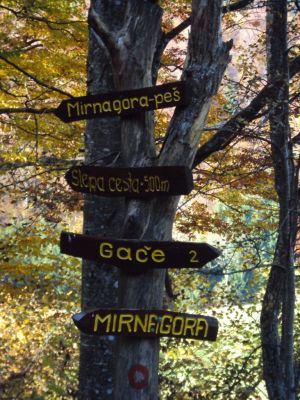 Kliknite za ogled večje slike
