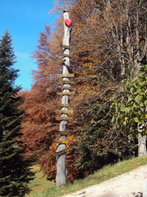 Kliknite za ogled večje slike