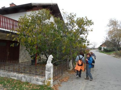 Kliknite za ogled večje slike