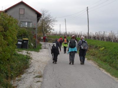 Kliknite za ogled večje slike