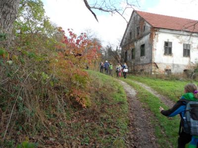 Kliknite za ogled večje slike