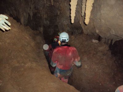 Kliknite za ogled večje slike