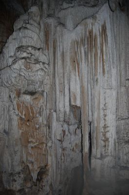 Kliknite za ogled večje slike