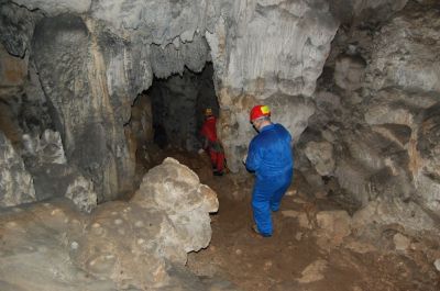 Kliknite za ogled večje slike