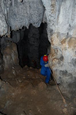 Kliknite za ogled večje slike