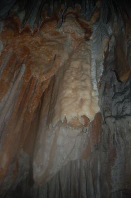 Kliknite za ogled večje slike
