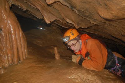 Kliknite za ogled večje slike