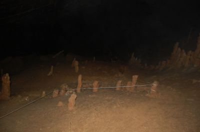 Kliknite za ogled večje slike