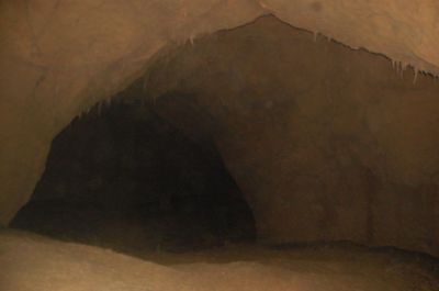 Kliknite za ogled večje slike