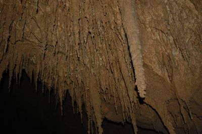 Kliknite za ogled večje slike