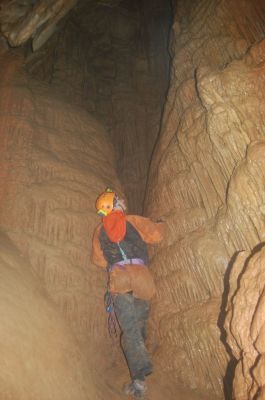 Kliknite za ogled večje slike