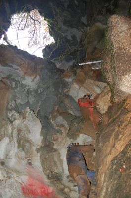 Kliknite za ogled večje slike
