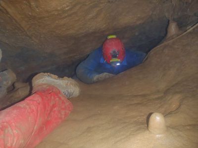 Kliknite za ogled večje slike