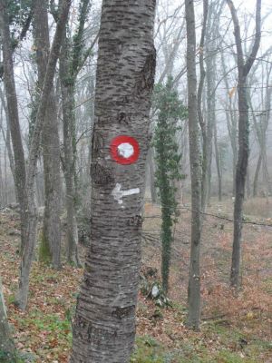 Kliknite za ogled večje slike