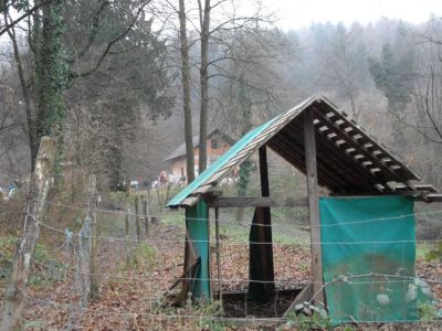 Kliknite za ogled večje slike