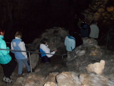 Kliknite za ogled večje slike