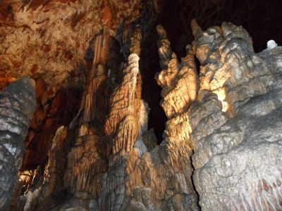 Kliknite za ogled večje slike