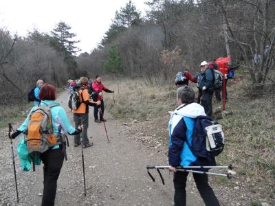 Kliknite za ogled večje slike