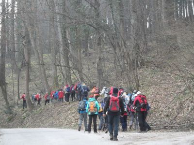 Kliknite za ogled večje slike