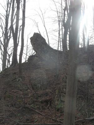 Kliknite za ogled večje slike